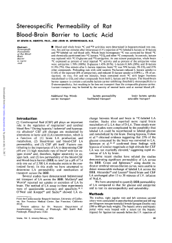 Stereospecific Permeability of Rat Blood