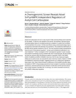 A Chemogenomic Screen Reveals Novel Snf1p/AMPK