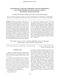 Quantification of adenosine triphosphate, adenosine diphosphate