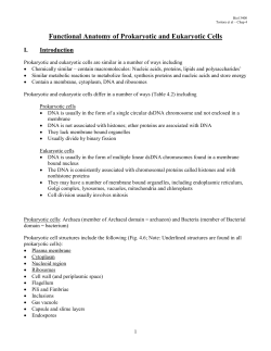 Eukaryotic cells - U of L Personal Web Sites