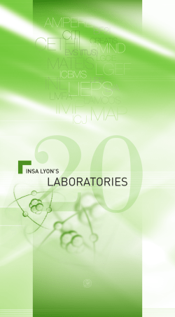 lieps map - INSA Lyon