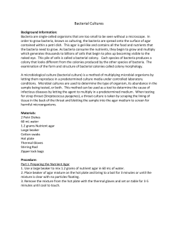 Bacterial Cultures Background Information: Bacteria are single