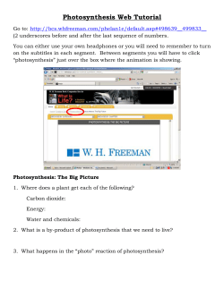 Photosynthesis: The &ldquo;Synthesis&rdquo;