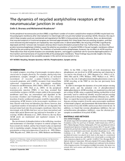 The dynamics of recycled acetylcholine receptors at the