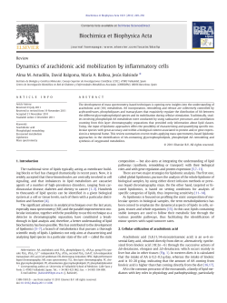 Dynamics of arachidonic acid mobilization by