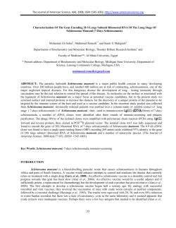 Characterization Of The Gene Encoding 28 S Large Subunit
