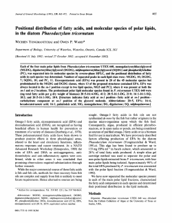 Positional distribution of fatty acids, and molecular