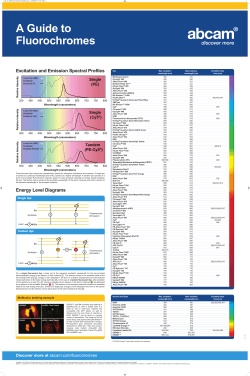 Excitation and Emission Spectral Profiles Energy Level