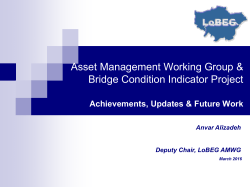 LoBEG Asset Management Working Group