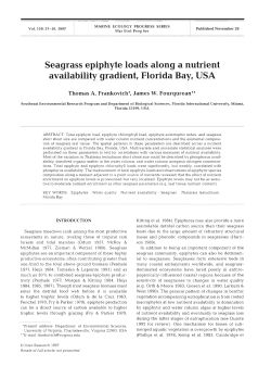 Seagrass epiphyte loads along a nutrient