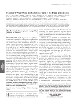Hepatitis C Virus Infects the Endothelial Cells of