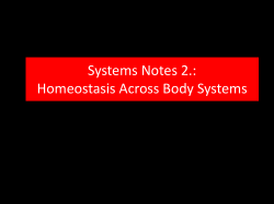 Systems Notes 2. Homeostasis 2016