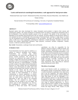 Potential role of lactic acid bacteria in sourdough