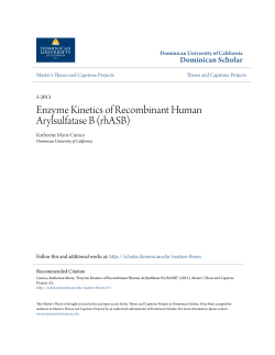 Enzyme Kinetics of Recombinant Human Arylsulfatase B (rhASB)