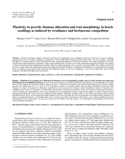 Plasticity in growth, biomass allocation and root morphology in