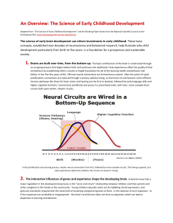 The Science of Early Childhood Development