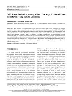 Cold Stress Evaluation among Maize (Zea mays L.) Inbred Lines in