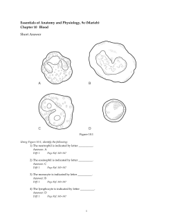 Essentials of Anatomy and Physiology, 9e (Marieb)