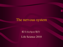ppt 檔案
