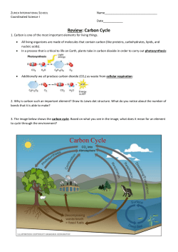 Carbon cycle review - Zurich International School