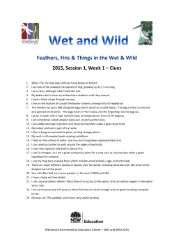 2015 Session1 Wk1 Clues - Wetlands Environmental Education