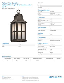 Pallerton Way Collection Pallerton Way 1 Light Small Outdoor Lantern