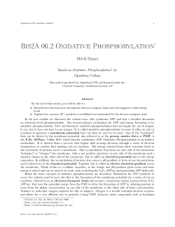 Bis2A 06.2 Oxidative Phosphorylation