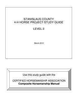 Horse Project Study Guide Level 2