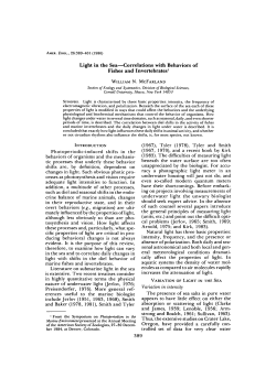 Light in the Sea&mdash;Correlations with Behaviors of