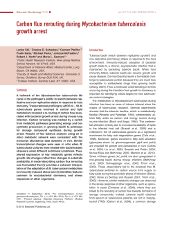 Carbon flux rerouting during Mycobacterium tuberculosis growth arrest