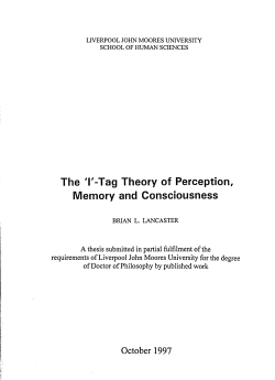 Tag Theory of Perception, Memory and Consciousness