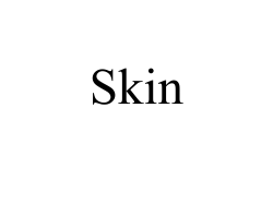 skin