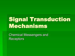 Signal Transduction Mechanisms