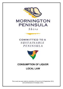consumption of liquor local law