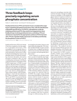 Three feedback loops precisely regulating serum phosphate