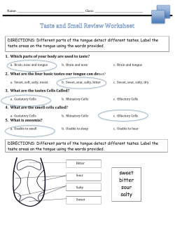 Taste and Smell Review Worksheet