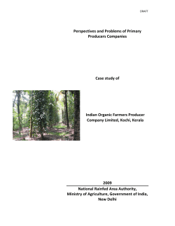 Perspectives and Problems of Primary Producers Companies Case