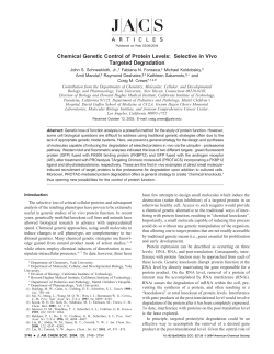 Chemical Genetic Control of Protein Levels