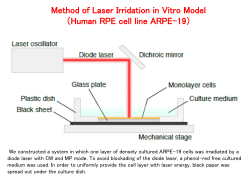 Light-Graphics - LIGHT: The International Retinal Laser Society.