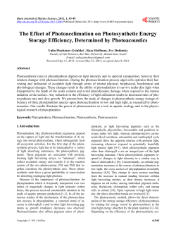 The Effect of Photoacclimation on Photosynthetic Energy Storage