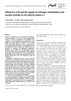 Influence of N and Ni supply on nitrogen metabolism and urease
