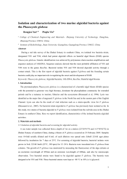 Isolation and characterization of two marine algicidal bacteria