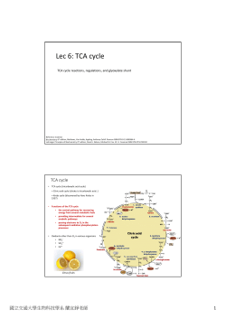 Lec 6: TCA cycle