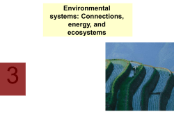 The carbon cycle