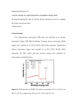Supporting Information for A facile strategy for rapid preparation of