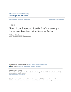 Root:Shoot Ratio and Specific Leaf Area Along an Elevational
