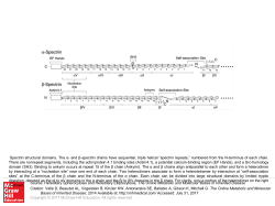 Slide 1 - Ommbid.com
