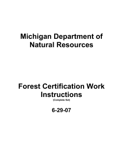 Complete set of WIs 6-29-07