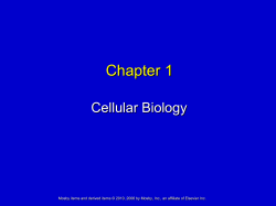 Cellular Biology - IHMC Public Cmaps