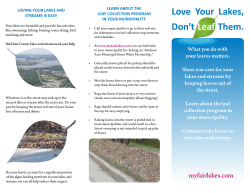 Love Your Lakes, Don`t Leaf Them.